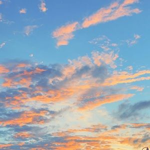 Meet your Posher, Mia